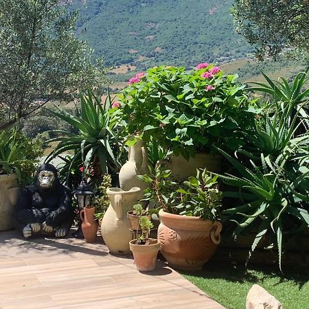 Residence Paradisu Ajaccio Appietto Luaran gambar