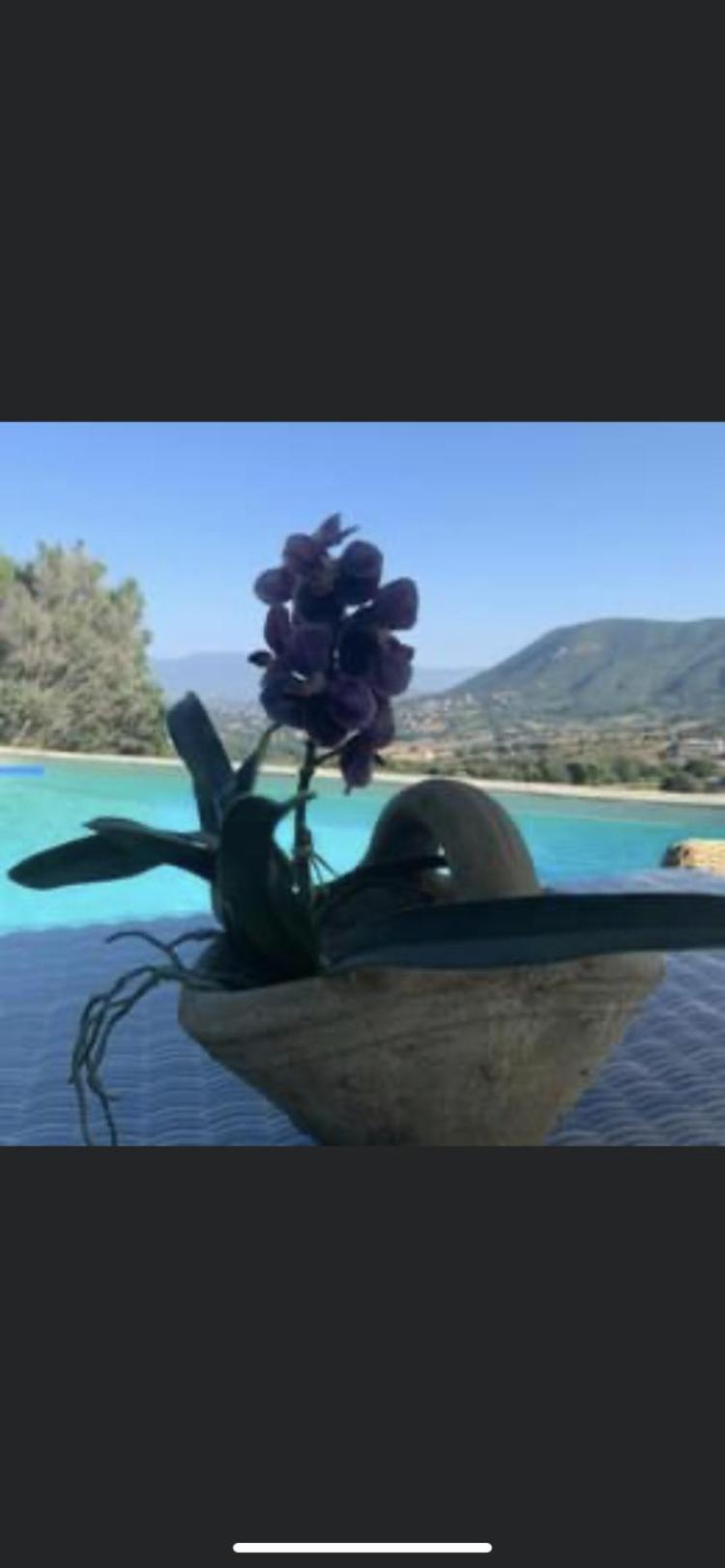 Residence Paradisu Ajaccio Appietto Luaran gambar