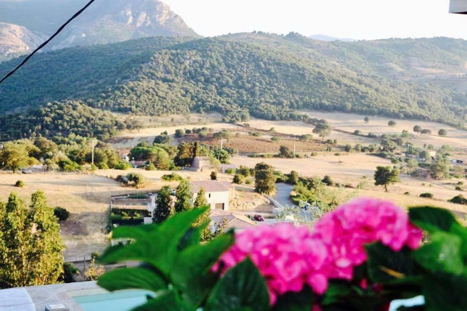 Residence Paradisu Ajaccio Appietto Luaran gambar