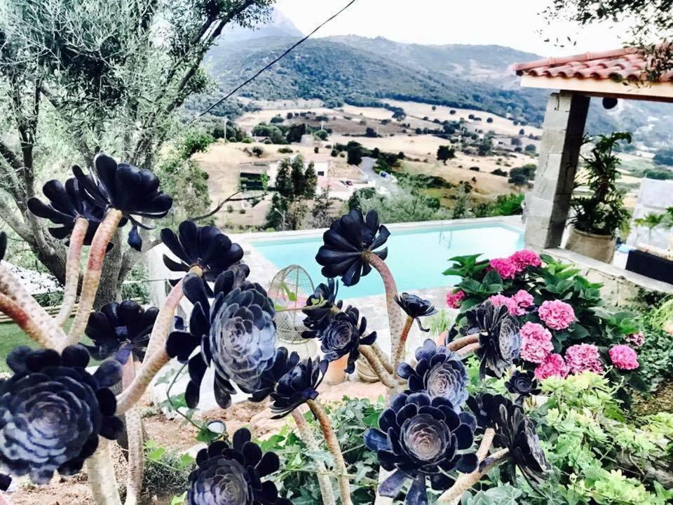 Residence Paradisu Ajaccio Appietto Luaran gambar