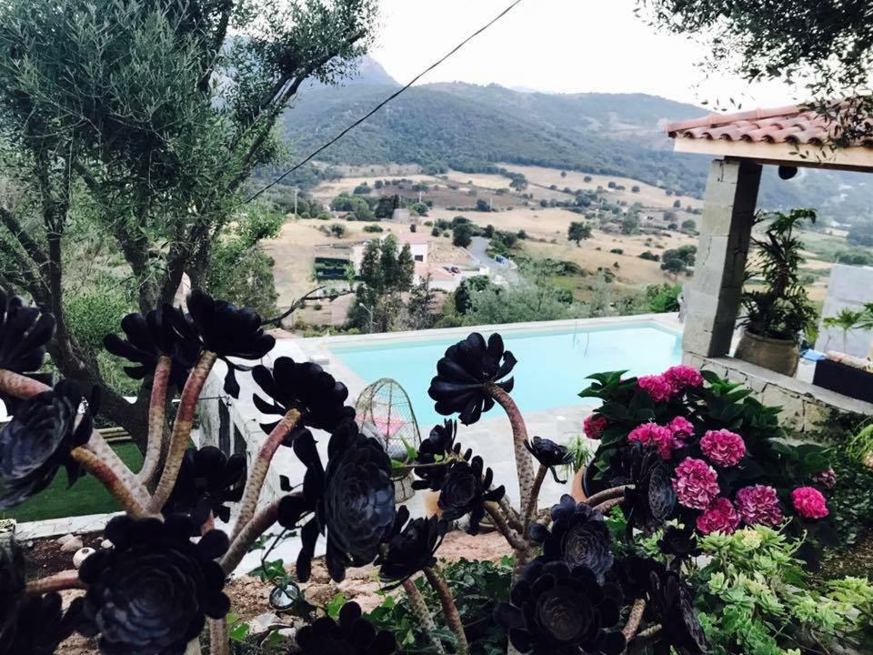 Residence Paradisu Ajaccio Appietto Luaran gambar